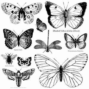 Butterflies 12x12 IOD Decor Stamp